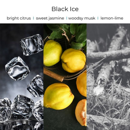 Viral Skull Hanging Car Diffusers