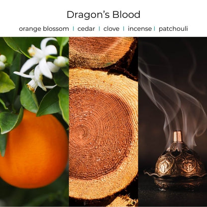 Viral Skull Hanging Car Diffusers