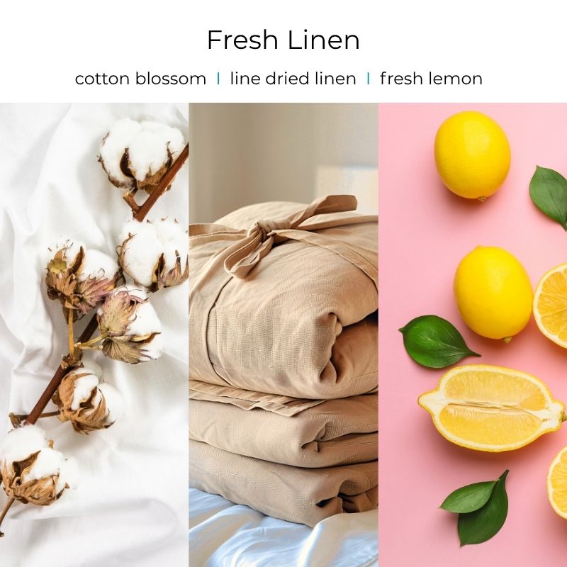 Viral Skull Hanging Car Diffusers