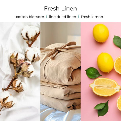 Viral Skull Hanging Car Diffusers