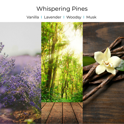 Viral Skull Hanging Car Diffusers