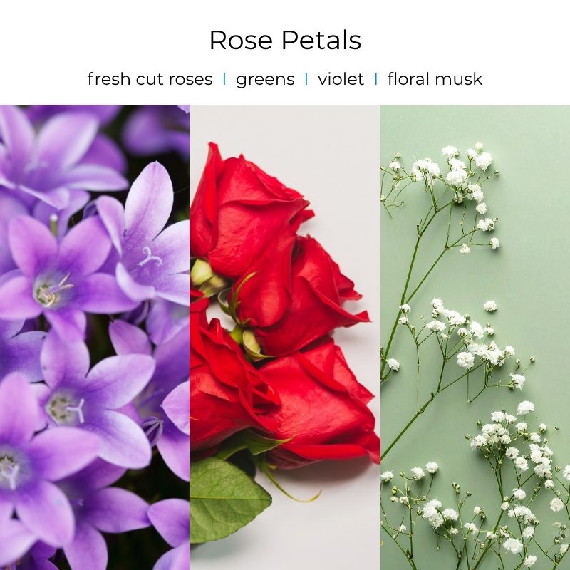 Viral Skull Hanging Car Diffusers