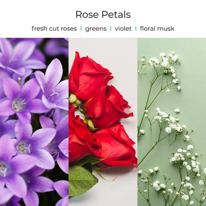 Viral Skull Hanging Car Diffusers