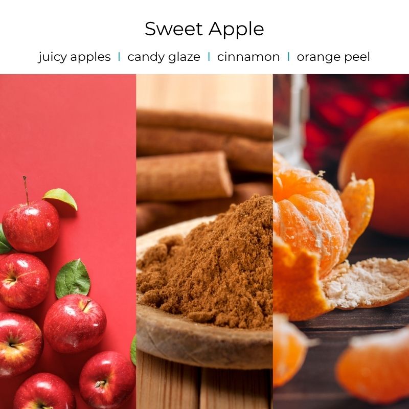 Viral Skull Hanging Car Diffusers